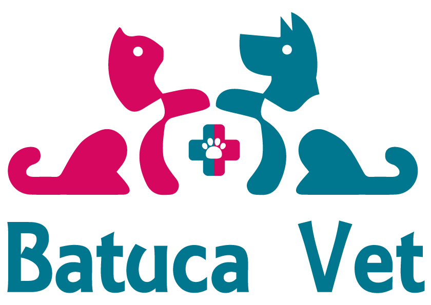 Batuca Vet